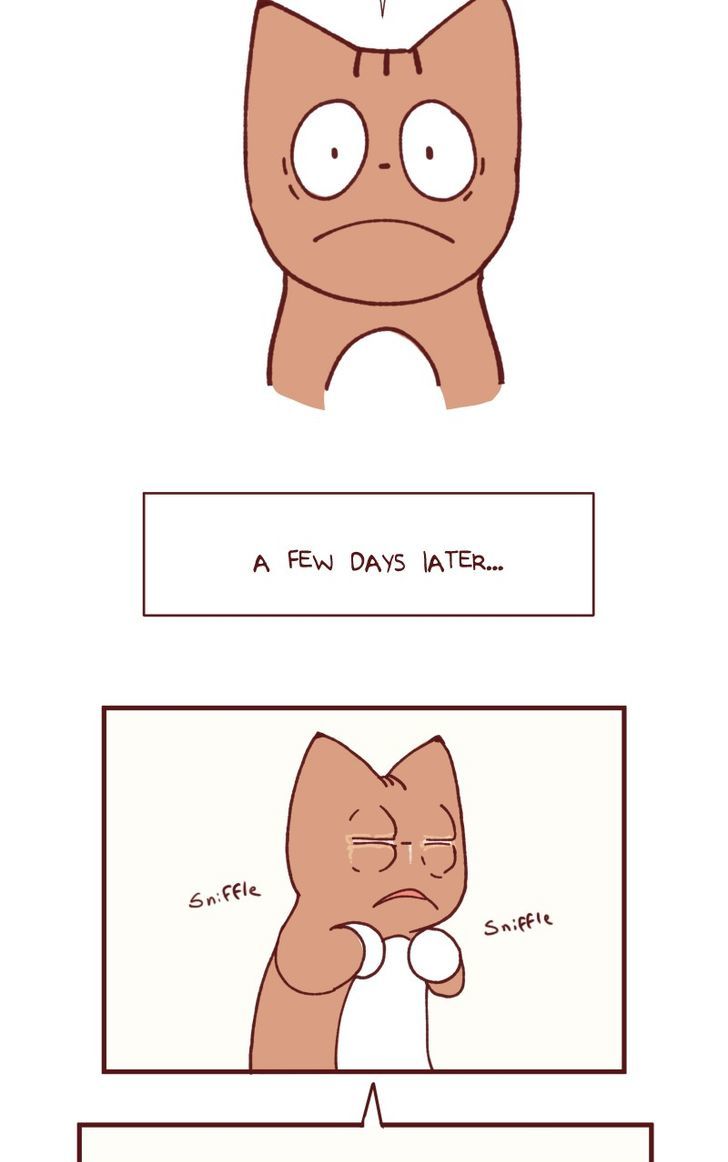Saphie: The One-Eyed Cat Chapter 104 page 5 - Chapter 104