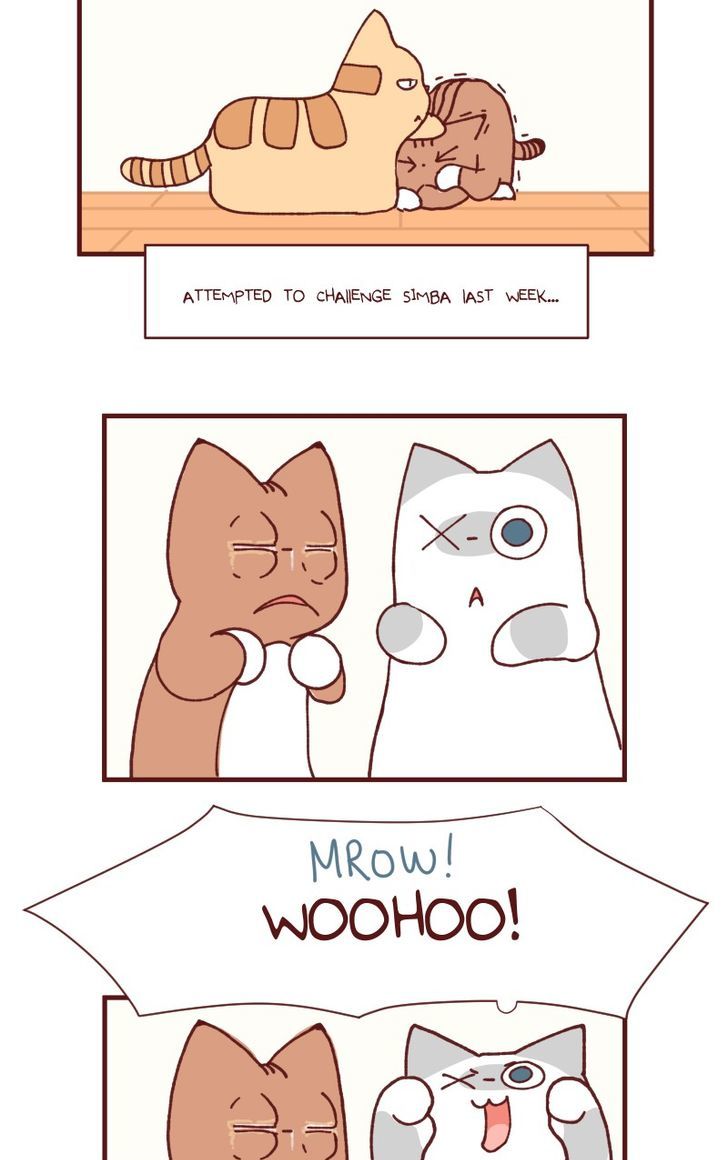 Saphie: The One-Eyed Cat Chapter 104 page 6 - Chapter 104