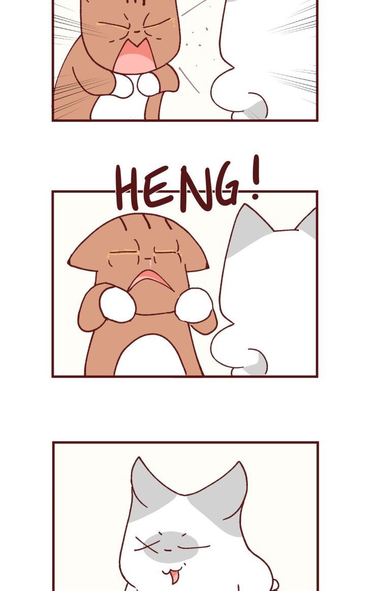 Saphie: The One-Eyed Cat Chapter 104 page 8 - Chapter 104