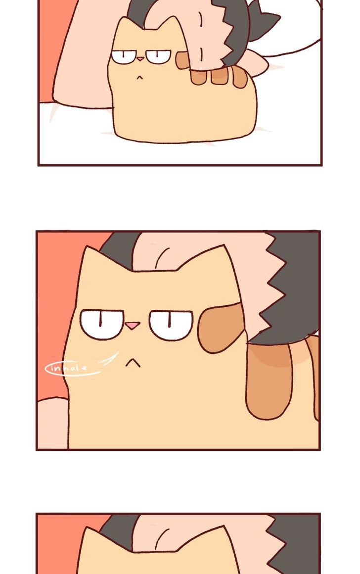 Saphie: The One-Eyed Cat Chapter 105 page 3 - Chapter 105