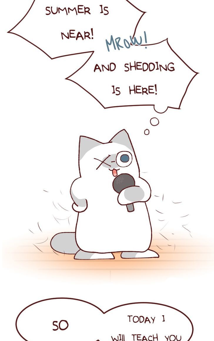 Saphie: The One-Eyed Cat Chapter 106 page 2 - Chapter 106