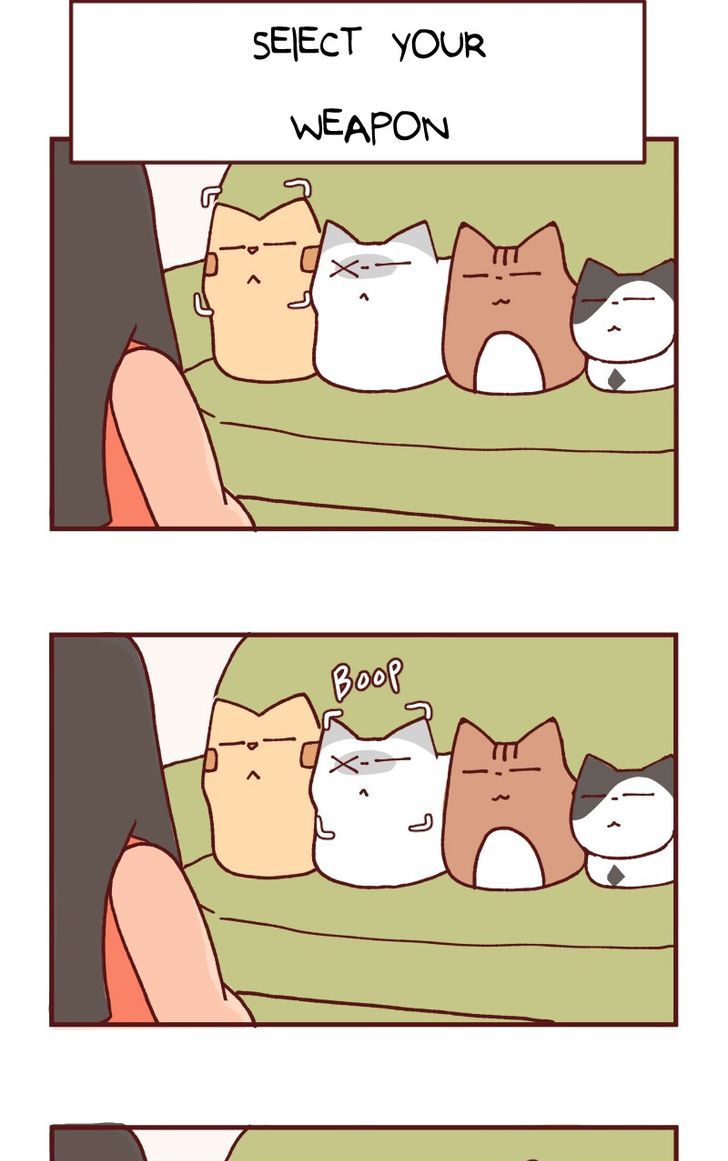 Saphie: The One-Eyed Cat Chapter 107 page 5 - Chapter 107