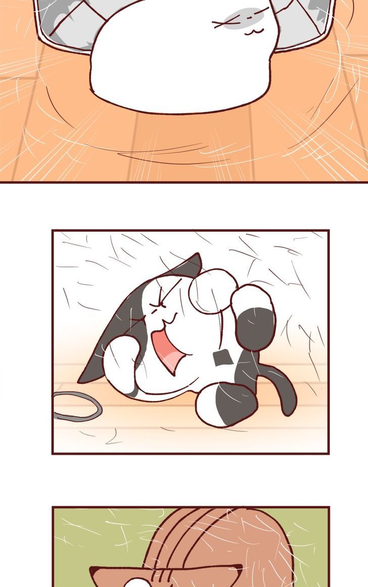 Saphie: The One-Eyed Cat Chapter 108 page 4 - Chapter 108