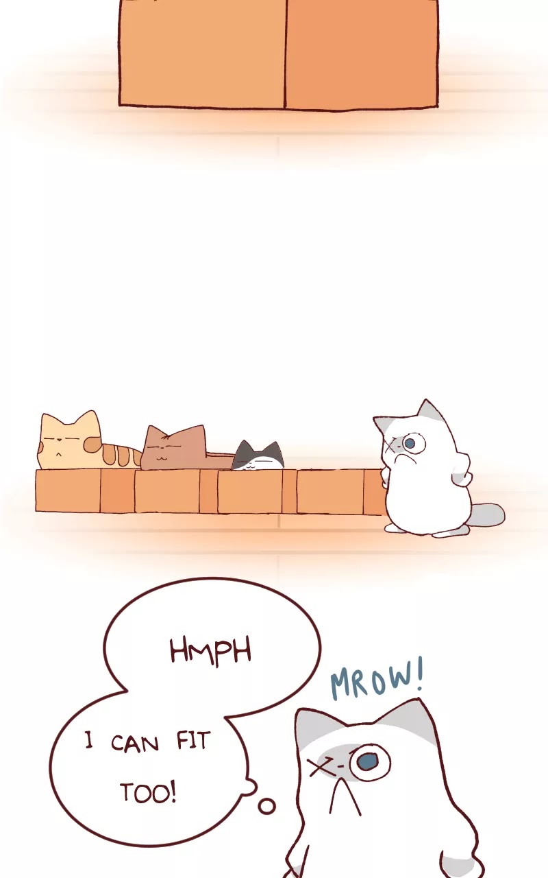 Saphie: The One-Eyed Cat Chapter 109 page 3 - Chapter 109: Fit