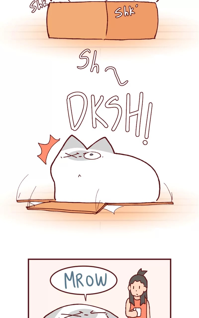 Saphie: The One-Eyed Cat Chapter 109 page 5 - Chapter 109: Fit
