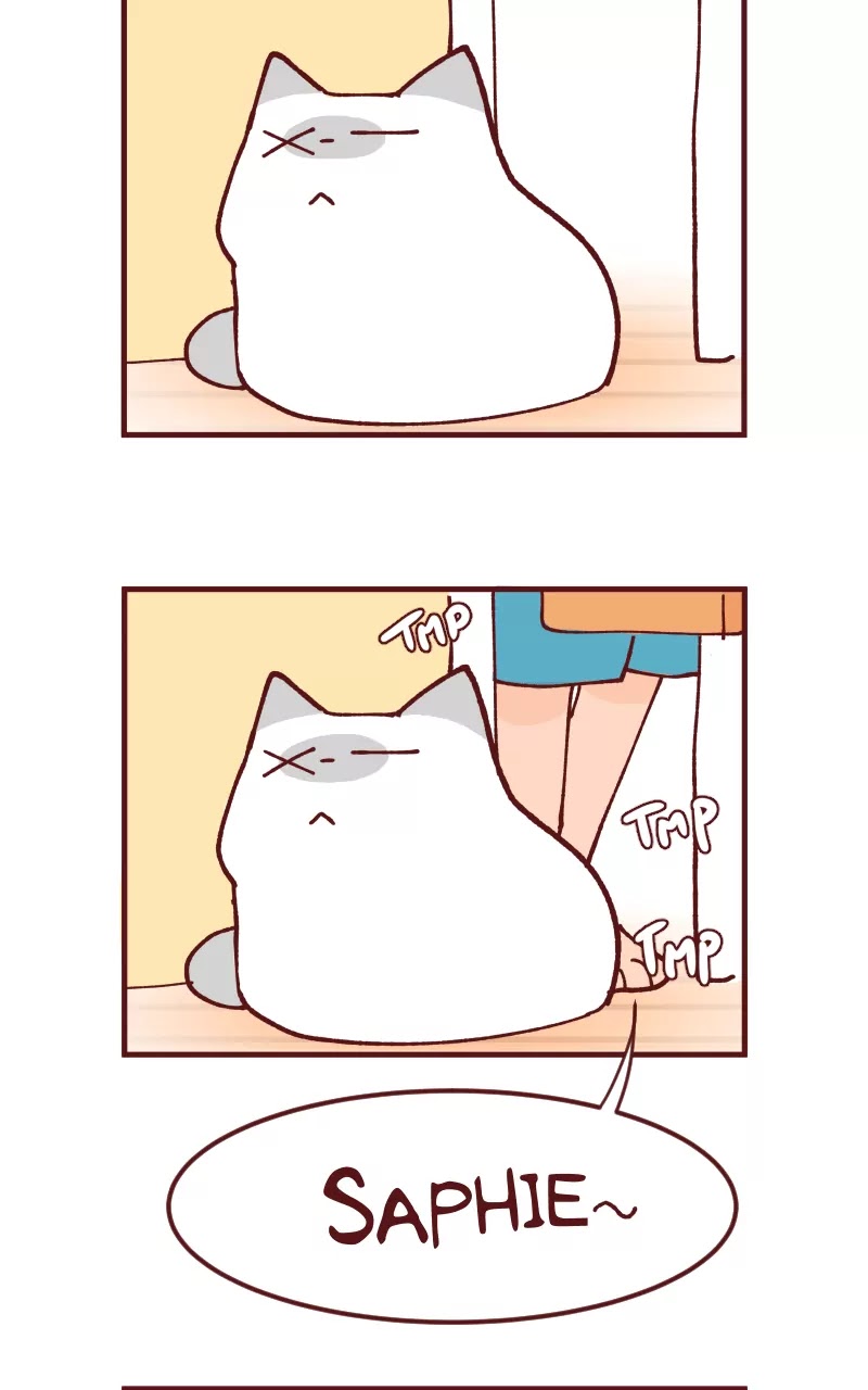 Saphie: The One-Eyed Cat Chapter 109 page 7 - Chapter 109: Fit