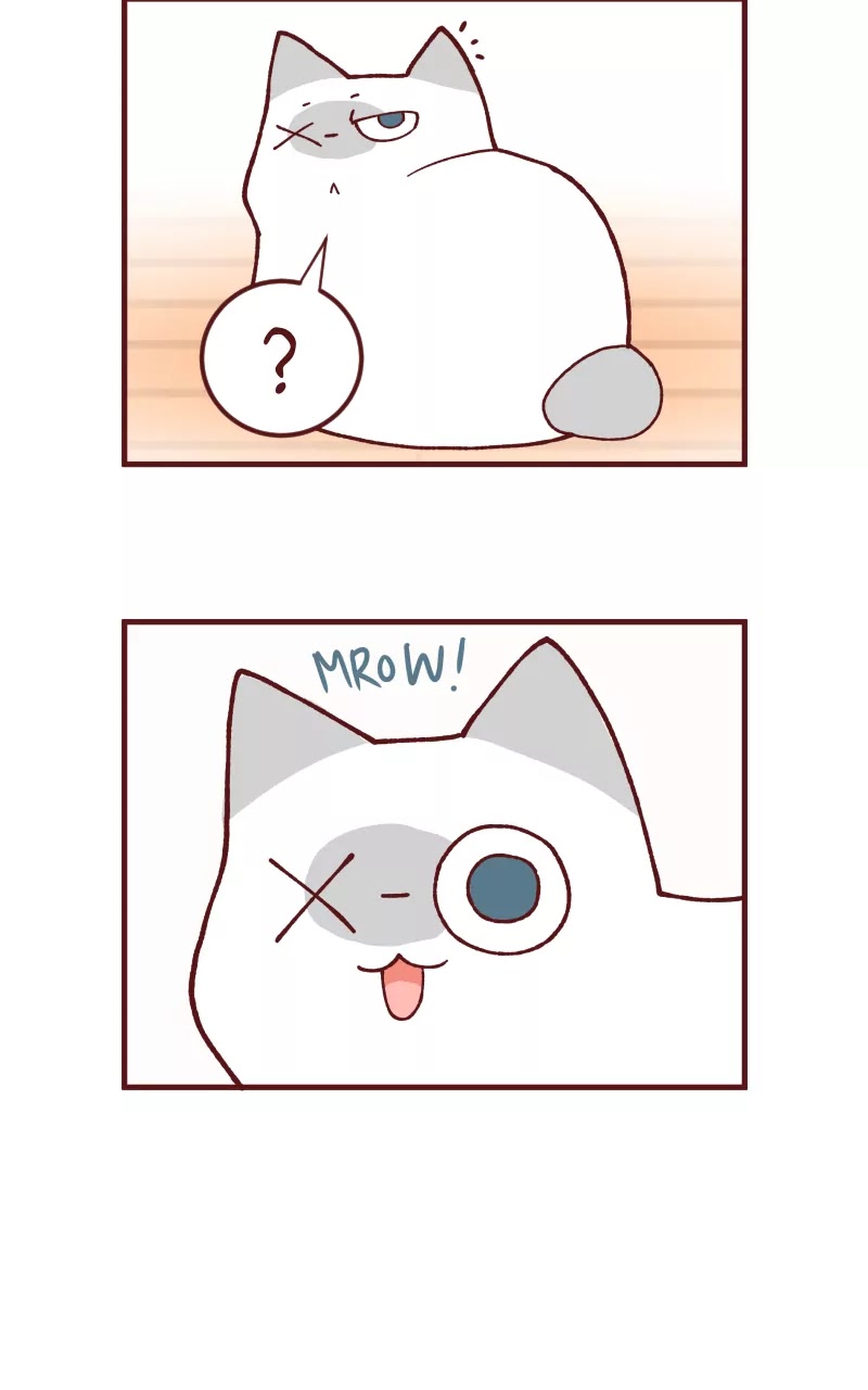 Saphie: The One-Eyed Cat Chapter 109 page 8 - Chapter 109: Fit
