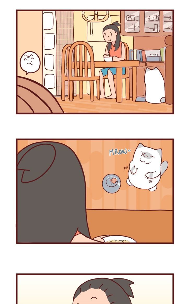 Saphie: The One-Eyed Cat Chapter 11 page 2 - Chapter 11 : A Complete Alternative