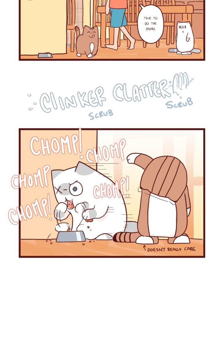 Saphie: The One-Eyed Cat Chapter 11 page 4 - Chapter 11 : A Complete Alternative