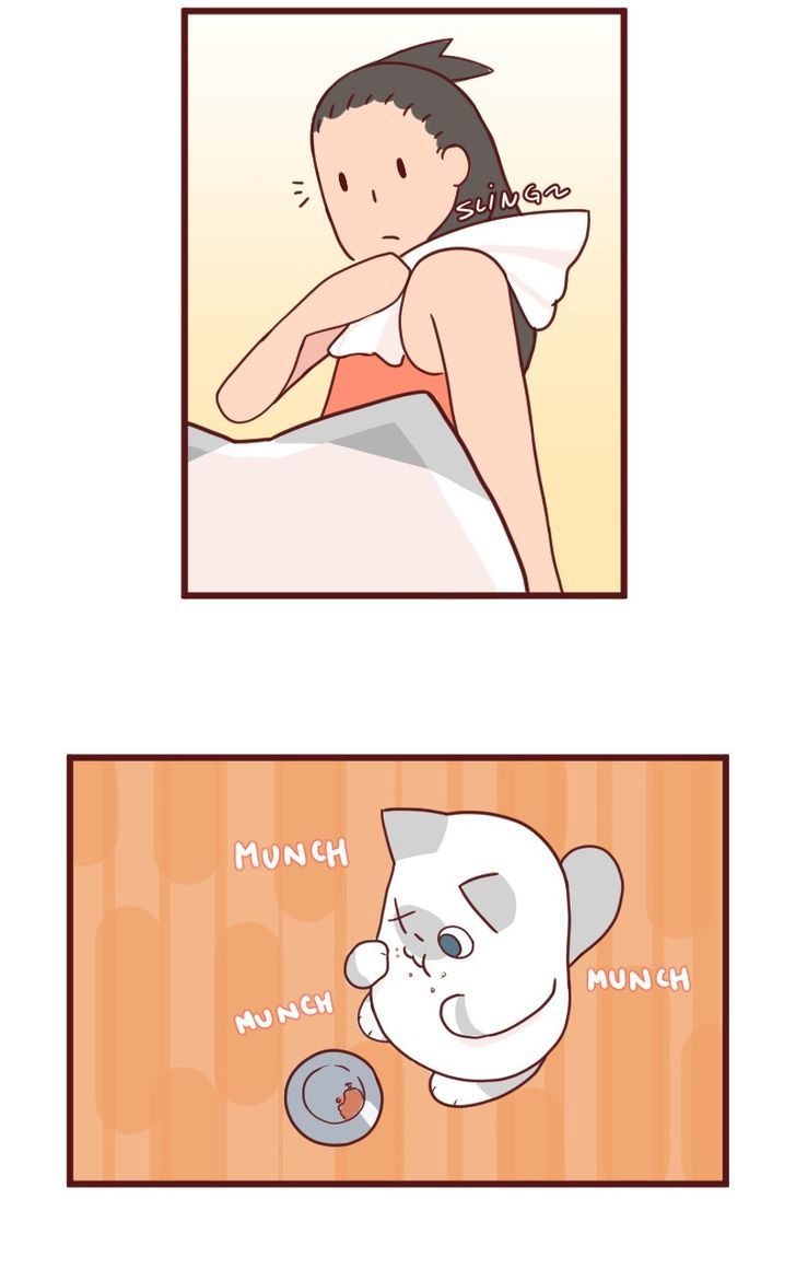 Saphie: The One-Eyed Cat Chapter 11 page 6 - Chapter 11 : A Complete Alternative