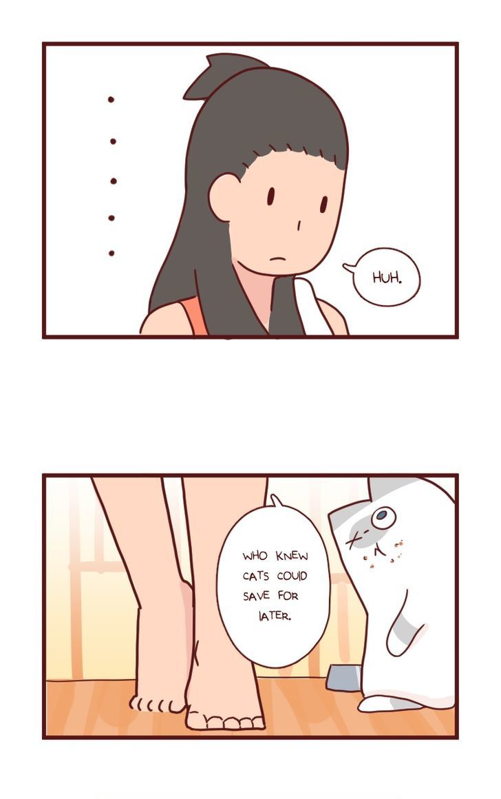 Saphie: The One-Eyed Cat Chapter 11 page 7 - Chapter 11 : A Complete Alternative
