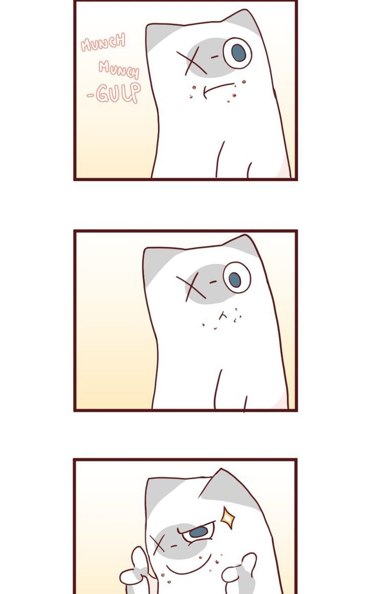 Saphie: The One-Eyed Cat Chapter 11 page 8 - Chapter 11 : A Complete Alternative