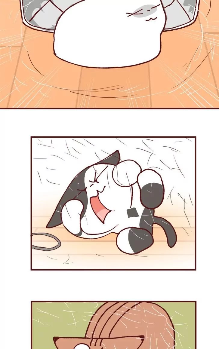 Saphie: The One-Eyed Cat Chapter 110 page 4 - Chapter 110: Accident