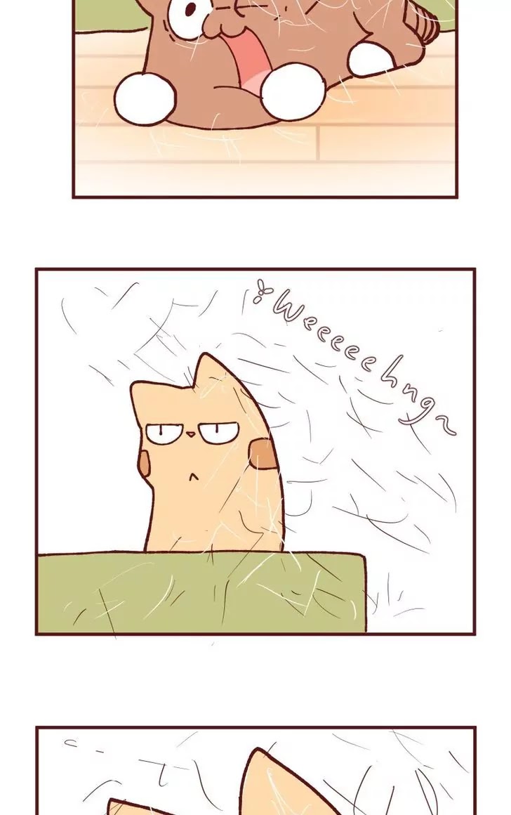 Saphie: The One-Eyed Cat Chapter 110 page 5 - Chapter 110: Accident