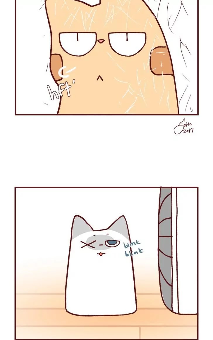 Saphie: The One-Eyed Cat Chapter 110 page 6 - Chapter 110: Accident