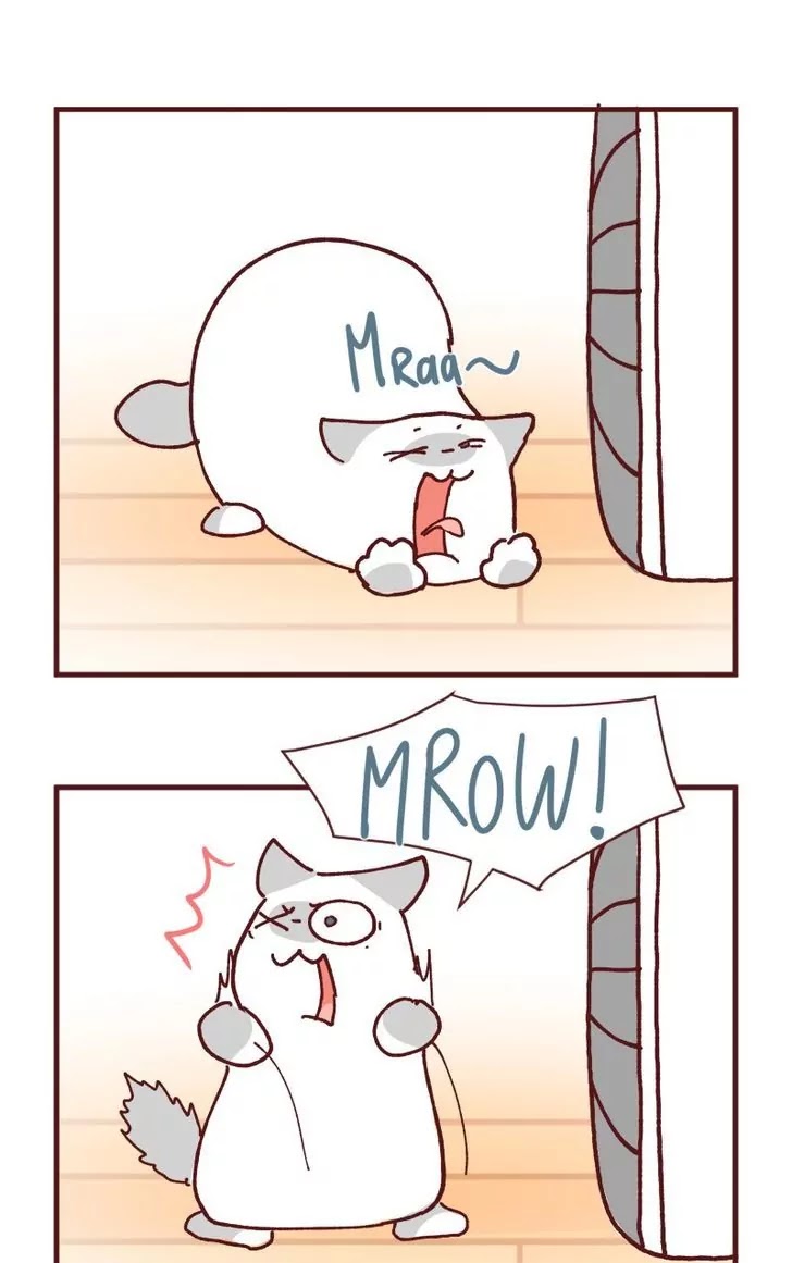 Saphie: The One-Eyed Cat Chapter 110 page 7 - Chapter 110: Accident