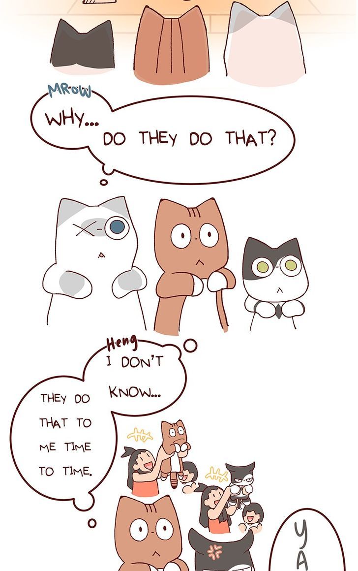Saphie: The One-Eyed Cat Chapter 114 page 3 - Chapter 114
