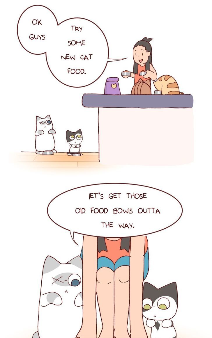 Saphie: The One-Eyed Cat Chapter 115 page 2 - Chapter 115