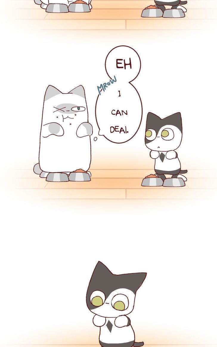 Saphie: The One-Eyed Cat Chapter 115 page 4 - Chapter 115
