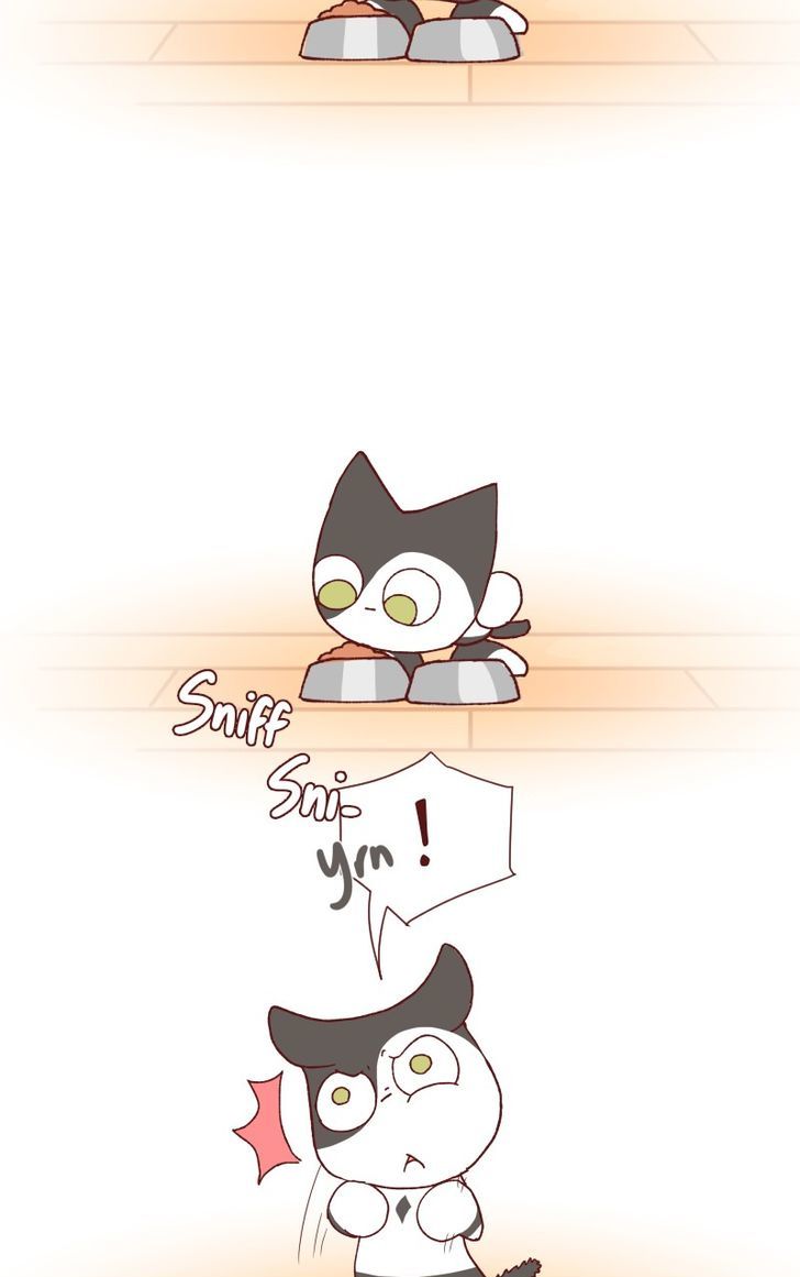 Saphie: The One-Eyed Cat Chapter 115 page 5 - Chapter 115