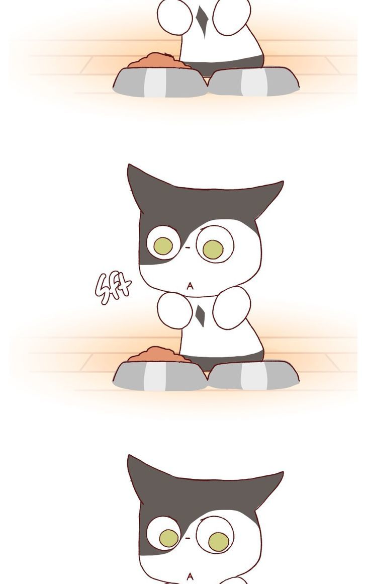 Saphie: The One-Eyed Cat Chapter 115 page 8 - Chapter 115