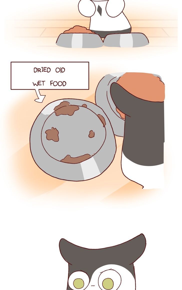 Saphie: The One-Eyed Cat Chapter 115 page 9 - Chapter 115