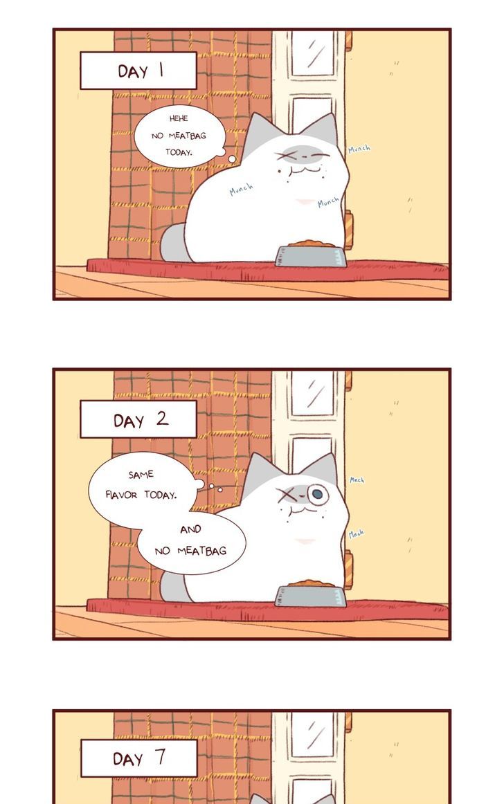 Saphie: The One-Eyed Cat Chapter 118 page 2 - Chapter 118