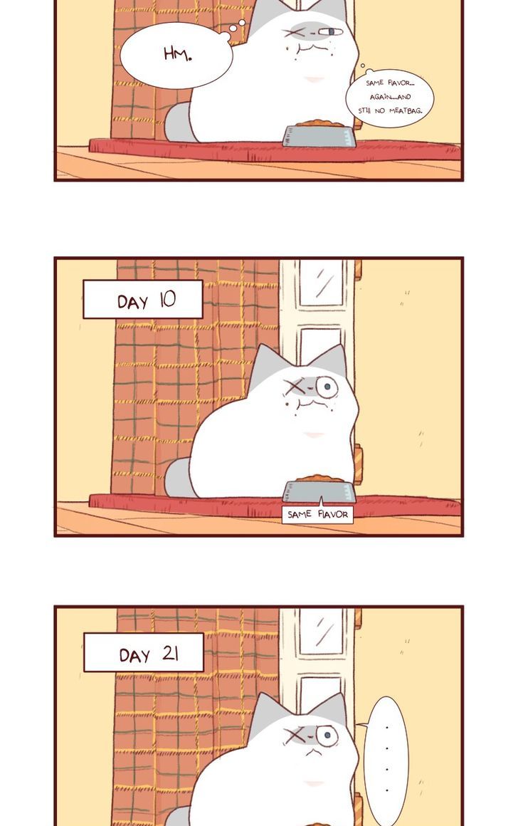 Saphie: The One-Eyed Cat Chapter 118 page 3 - Chapter 118