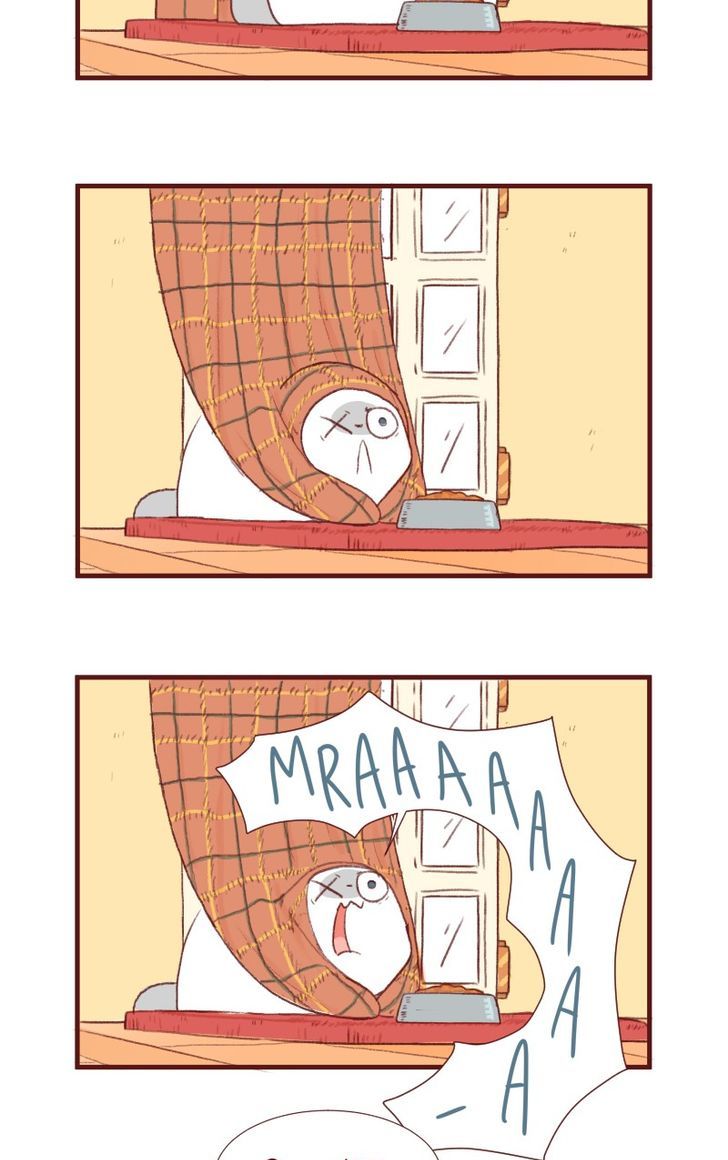 Saphie: The One-Eyed Cat Chapter 118 page 4 - Chapter 118