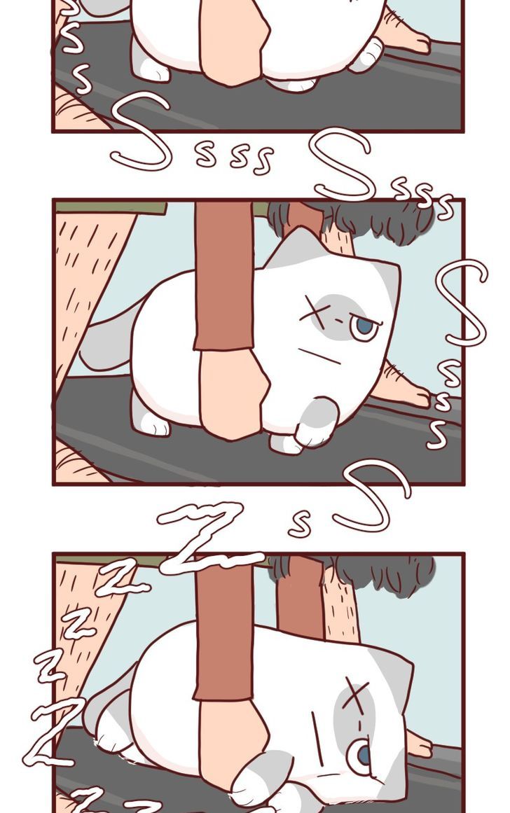 Saphie: The One-Eyed Cat Chapter 12 page 9 - Chapter 12 : Exercise