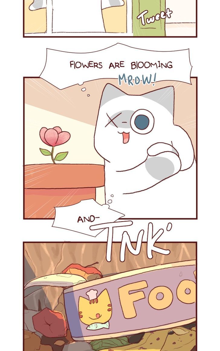 Saphie: The One-Eyed Cat Chapter 121 page 3 - Chapter 121
