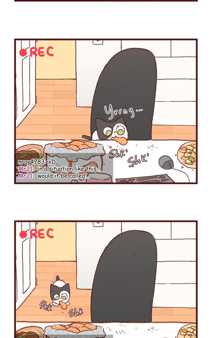 Saphie: The One-Eyed Cat Chapter 122 page 10 - Chapter 122