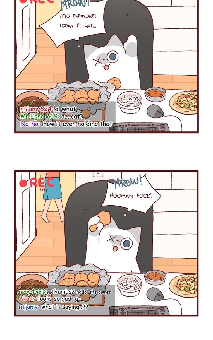 Saphie: The One-Eyed Cat Chapter 122 page 2 - Chapter 122
