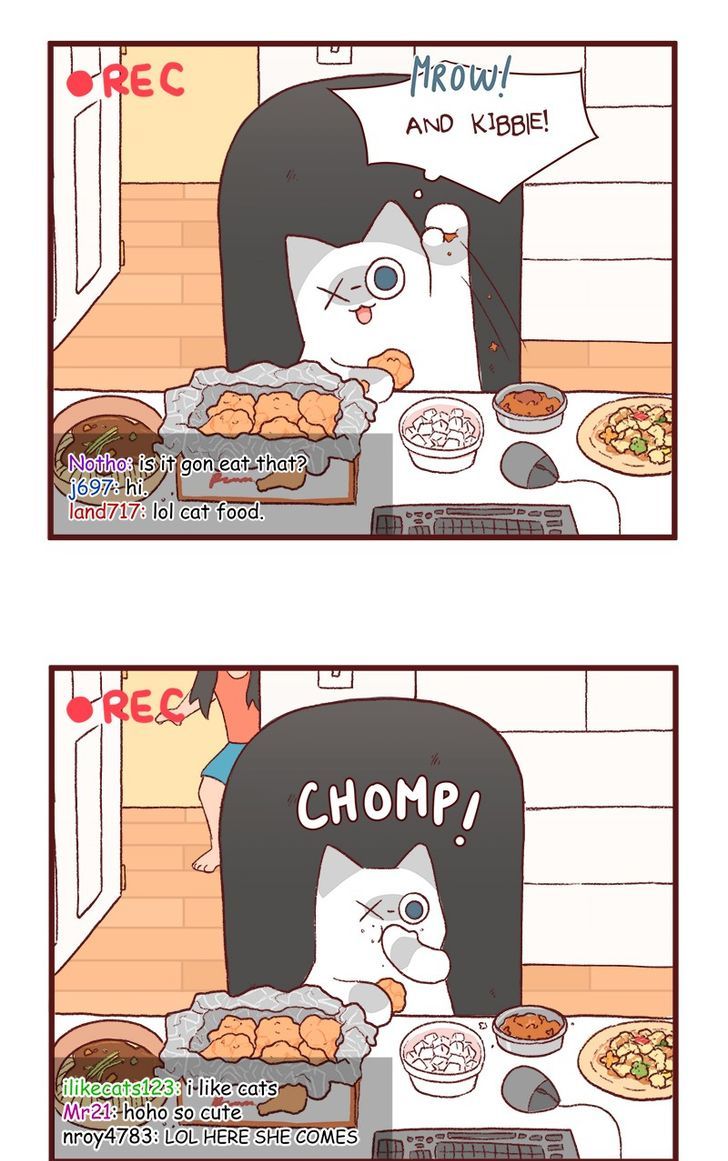 Saphie: The One-Eyed Cat Chapter 122 page 3 - Chapter 122