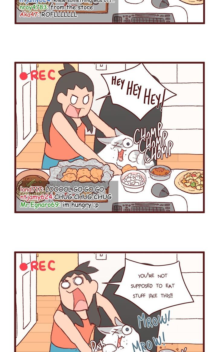 Saphie: The One-Eyed Cat Chapter 122 page 5 - Chapter 122