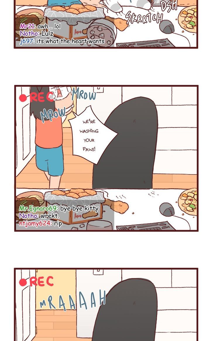 Saphie: The One-Eyed Cat Chapter 122 page 6 - Chapter 122