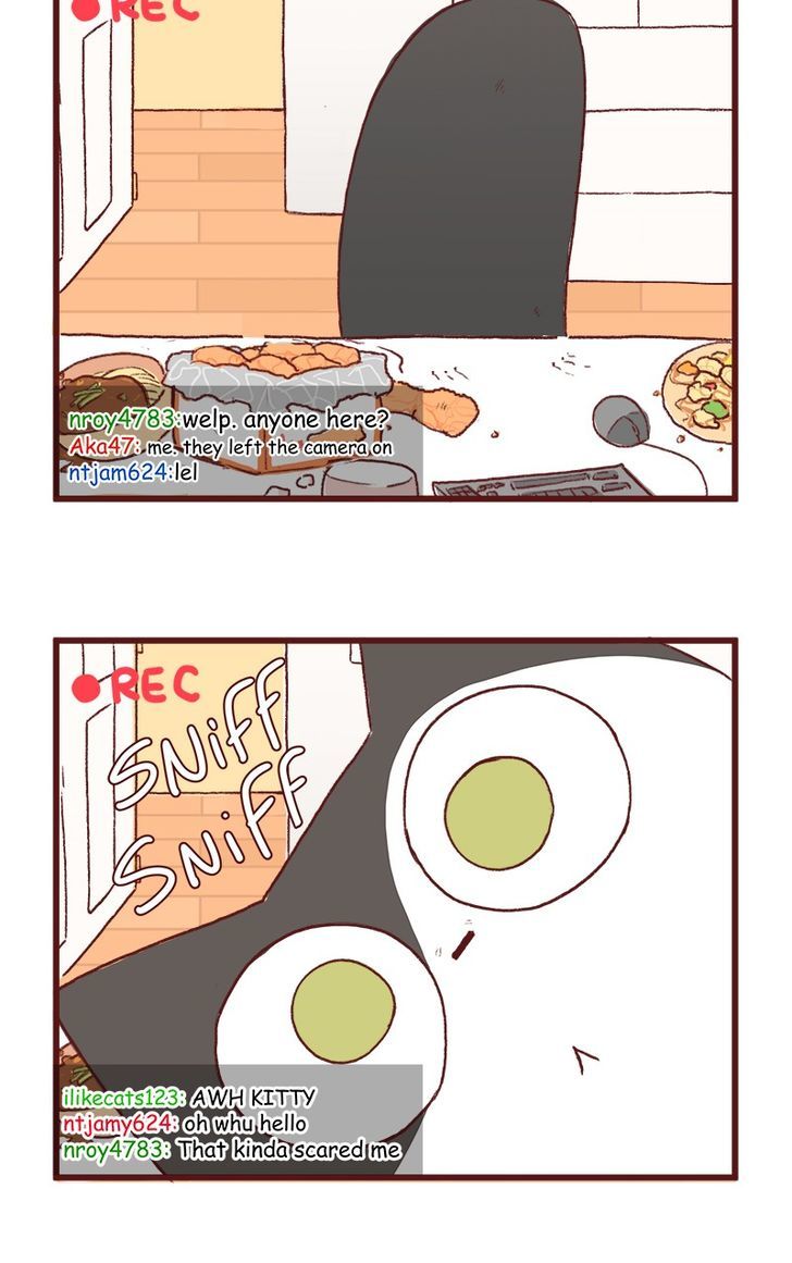 Saphie: The One-Eyed Cat Chapter 122 page 8 - Chapter 122