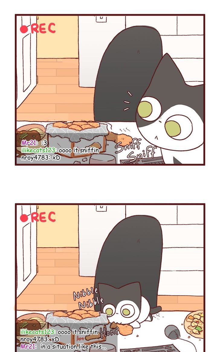 Saphie: The One-Eyed Cat Chapter 122 page 9 - Chapter 122