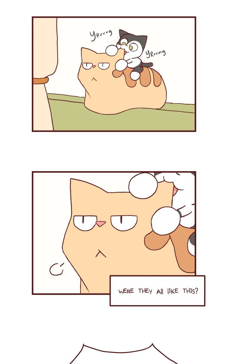 Saphie: The One-Eyed Cat Chapter 125 page 2 - Chapter 125