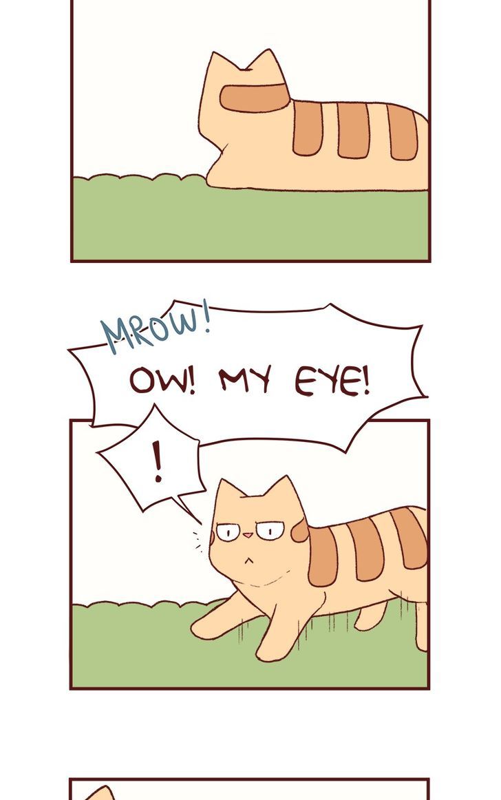 Saphie: The One-Eyed Cat Chapter 125 page 5 - Chapter 125