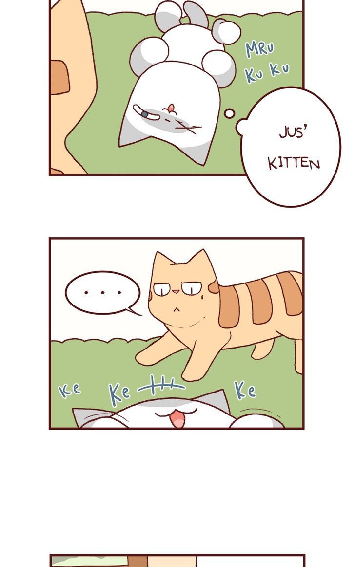 Saphie: The One-Eyed Cat Chapter 125 page 6 - Chapter 125