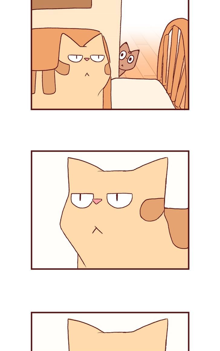 Saphie: The One-Eyed Cat Chapter 125 page 7 - Chapter 125