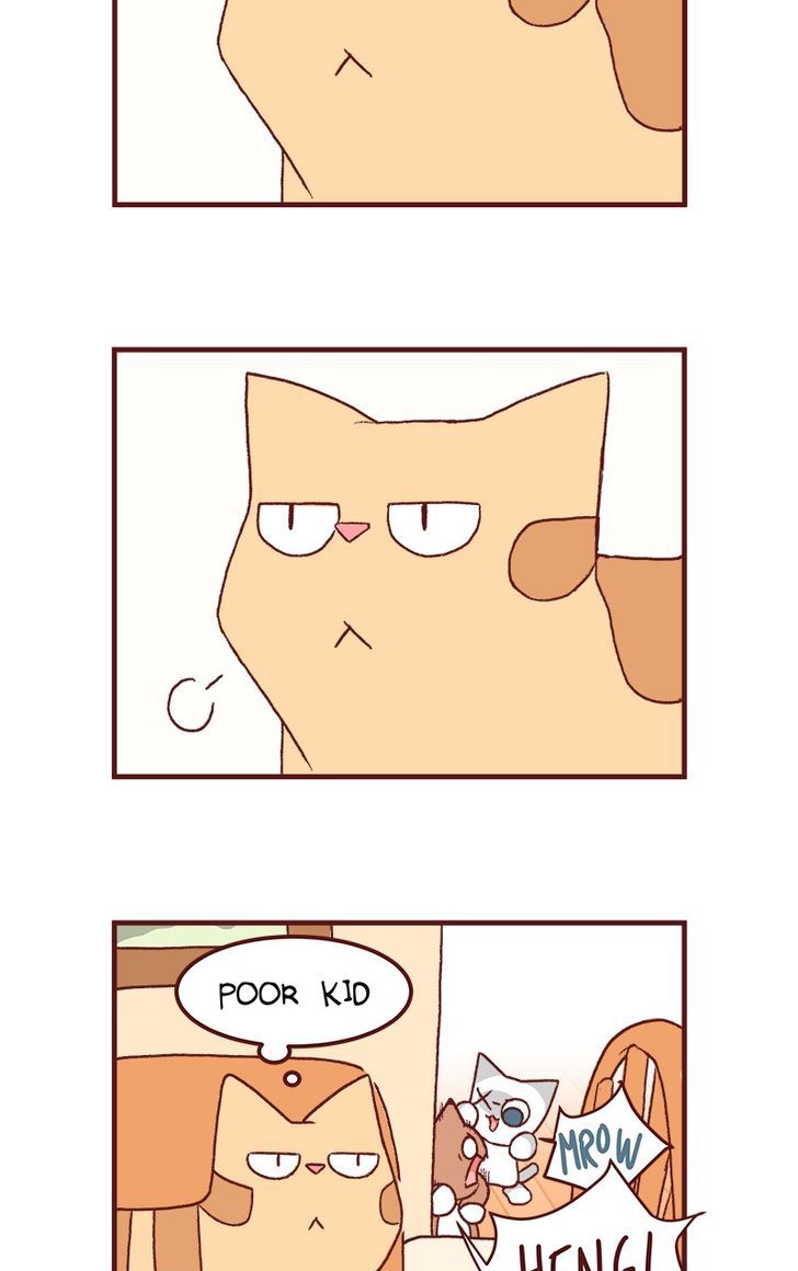 Saphie: The One-Eyed Cat Chapter 125 page 9 - Chapter 125