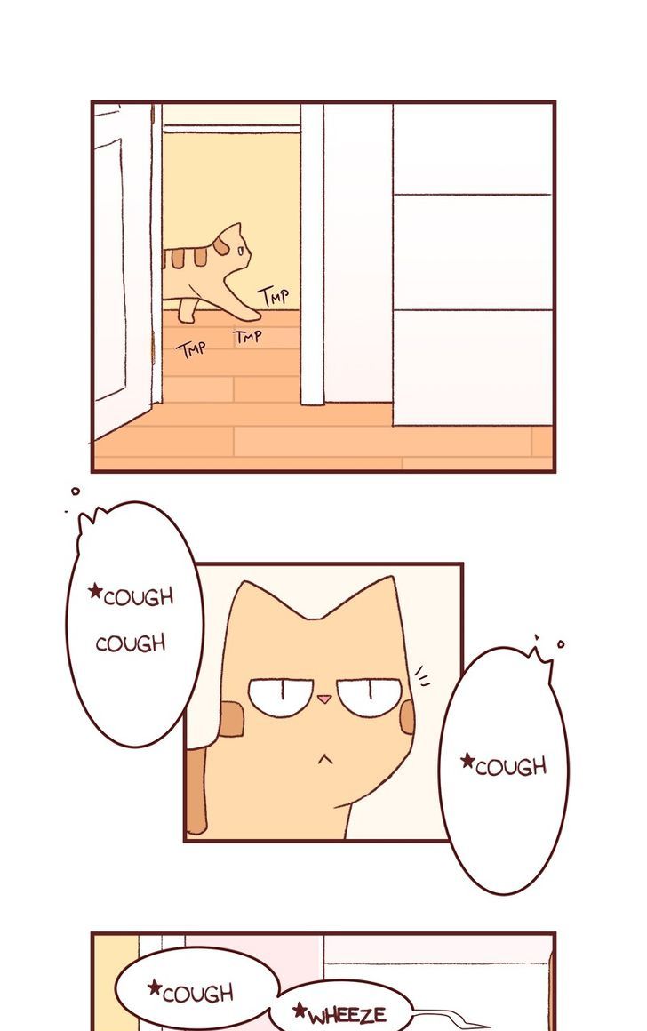 Saphie: The One-Eyed Cat Chapter 128 page 5 - Chapter 128