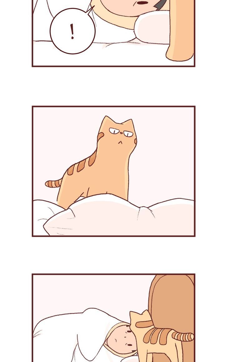 Saphie: The One-Eyed Cat Chapter 128 page 7 - Chapter 128