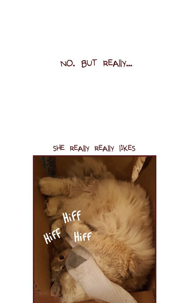 Saphie: The One-Eyed Cat Chapter 129 page 6 - Chapter 129