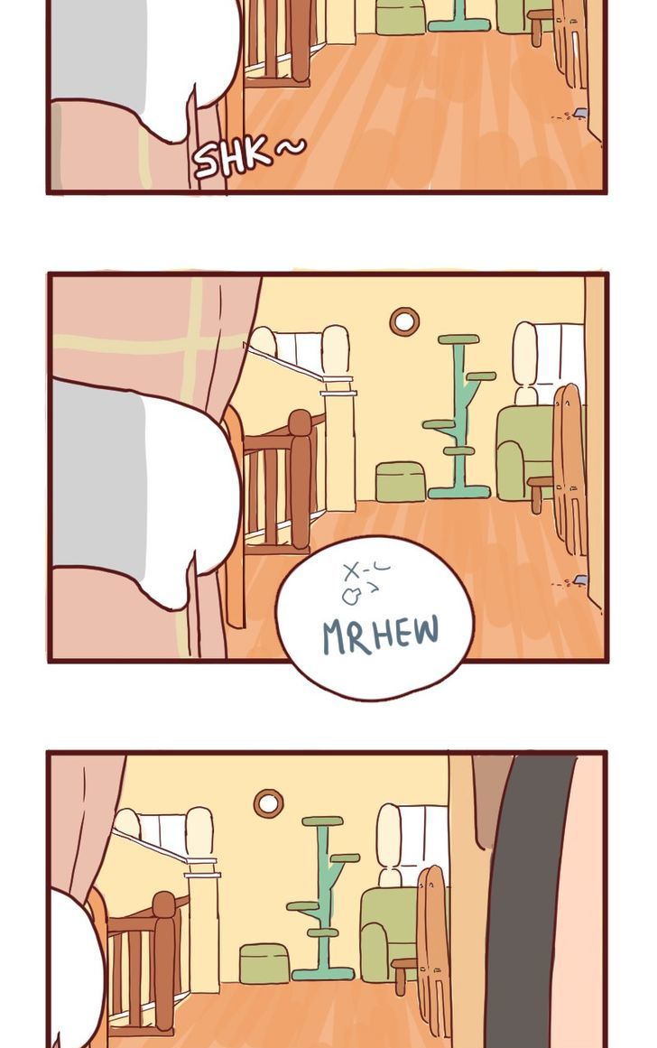 Saphie: The One-Eyed Cat Chapter 13 page 10 - Chapter 13 : Hide!!