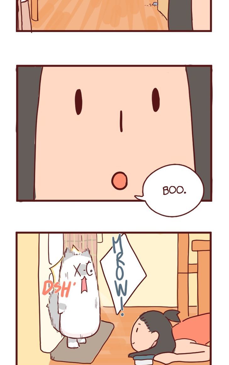 Saphie: The One-Eyed Cat Chapter 13 page 11 - Chapter 13 : Hide!!