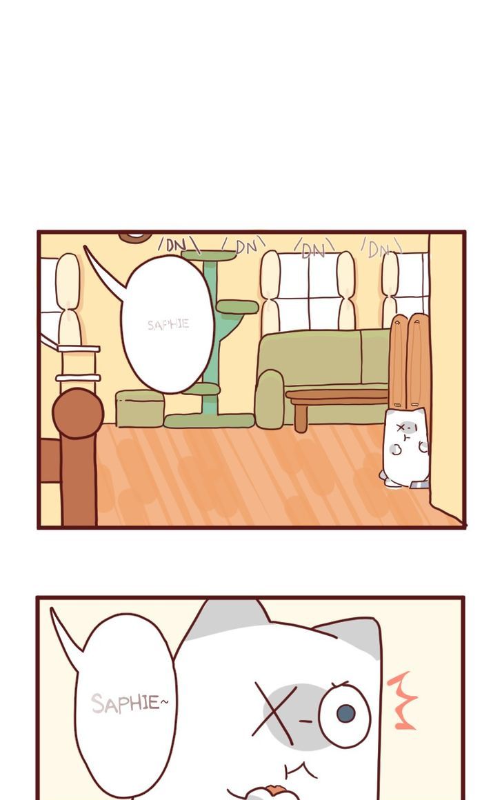 Saphie: The One-Eyed Cat Chapter 13 page 2 - Chapter 13 : Hide!!