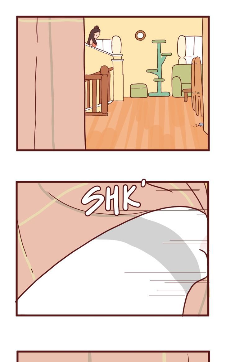 Saphie: The One-Eyed Cat Chapter 13 page 5 - Chapter 13 : Hide!!